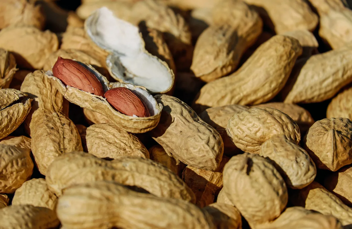 Karışık Kuruyemiş 1 kg
