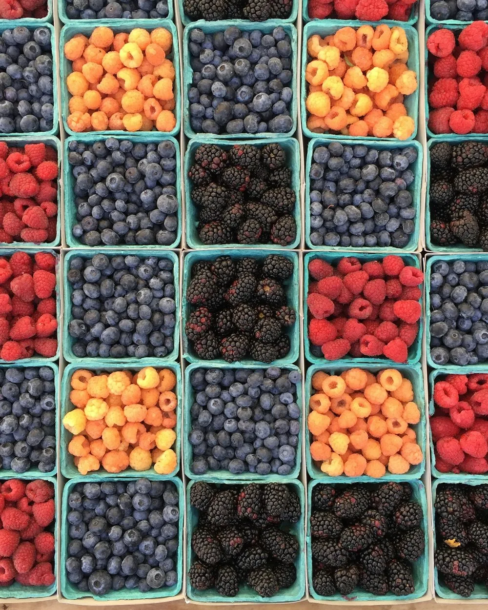 Terra Nova Reçel & Marmelat